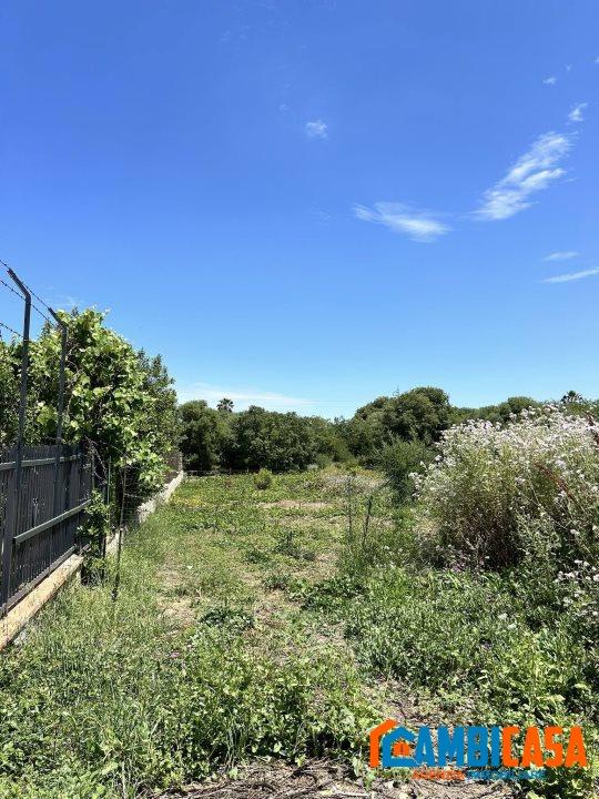 immagine annuncio 2 di 8