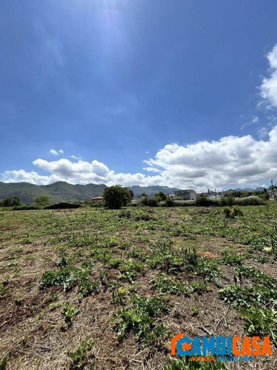 immagine annuncio 4 di 8