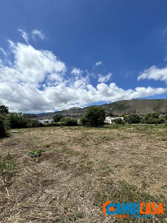 immagine annuncio 5 di 8