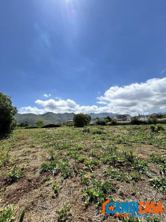 immagine annuncio 3 di 8