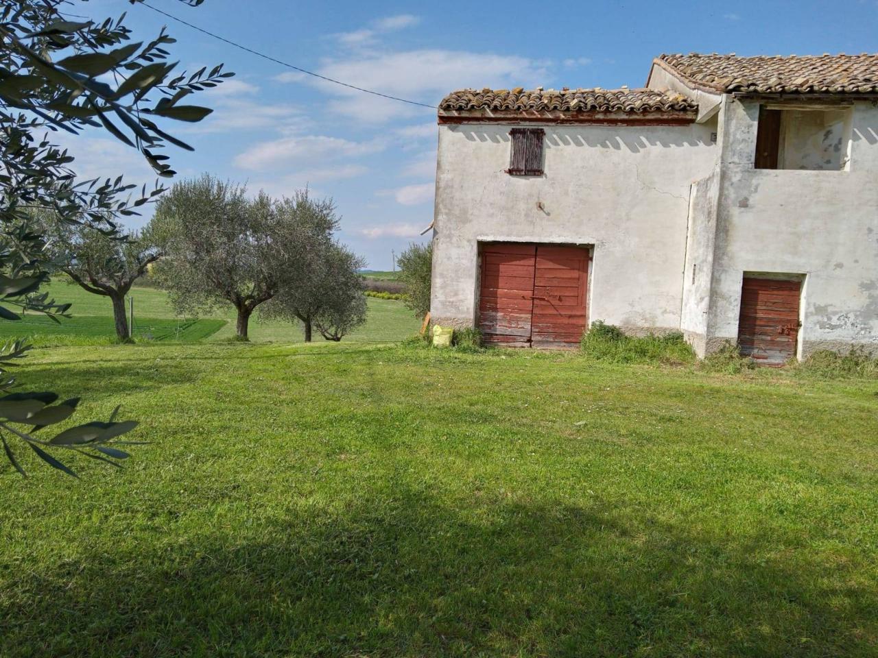 immagine annuncio 3 di 13