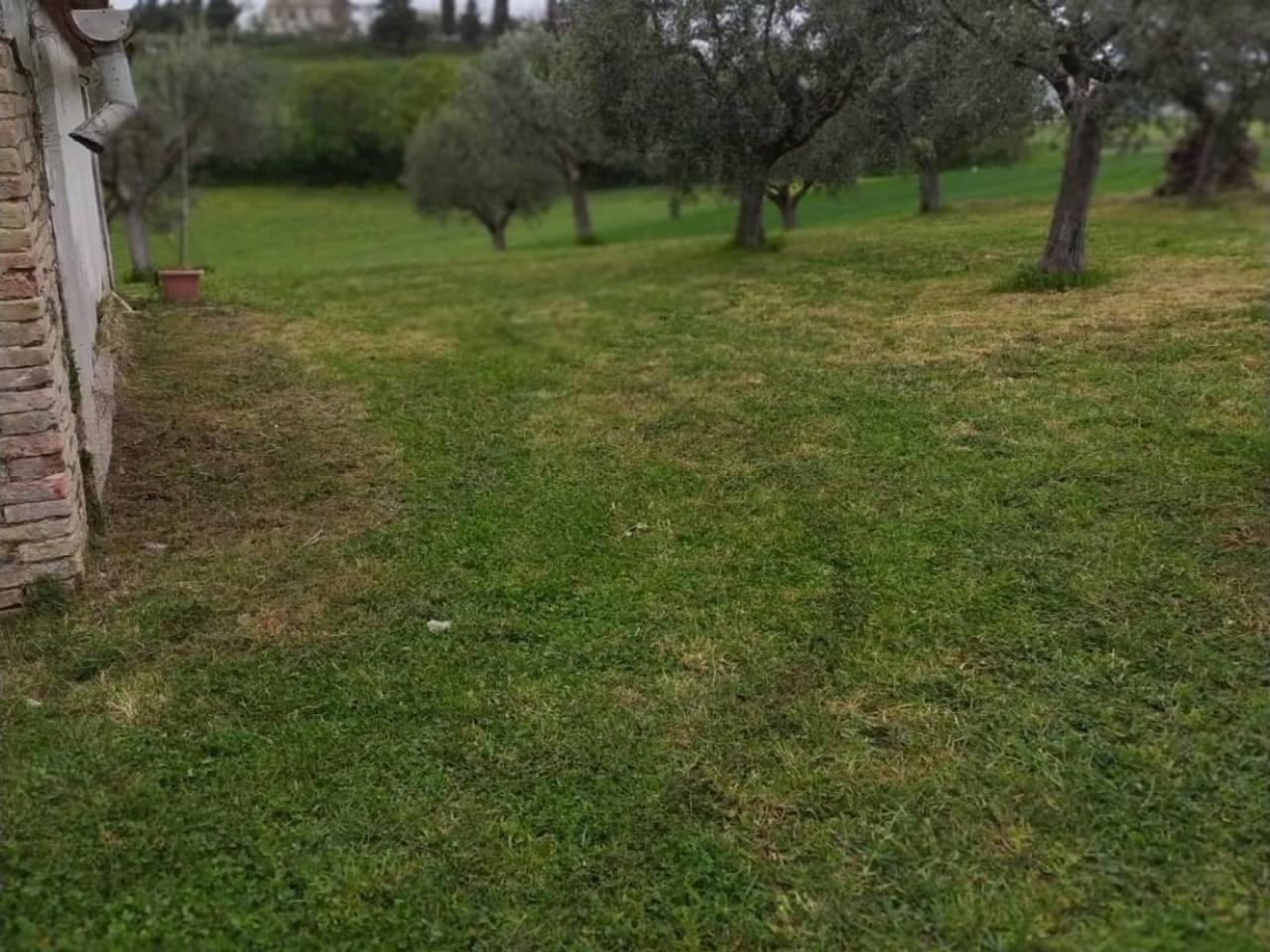 immagine annuncio 6 di 13