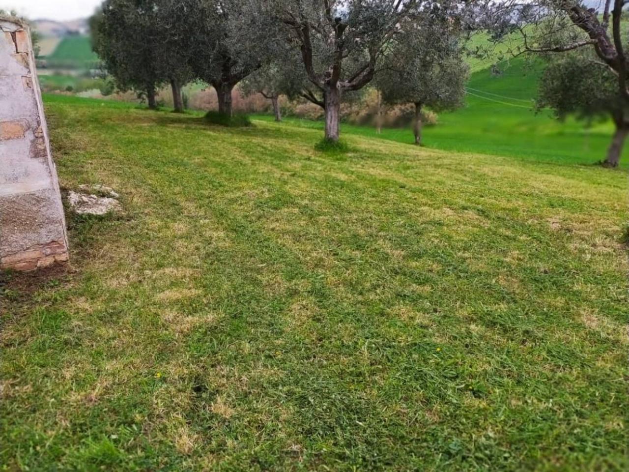 immagine annuncio 10 di 13