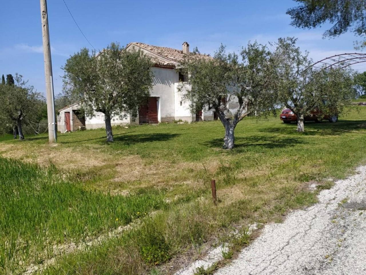 immagine annuncio 12 di 13