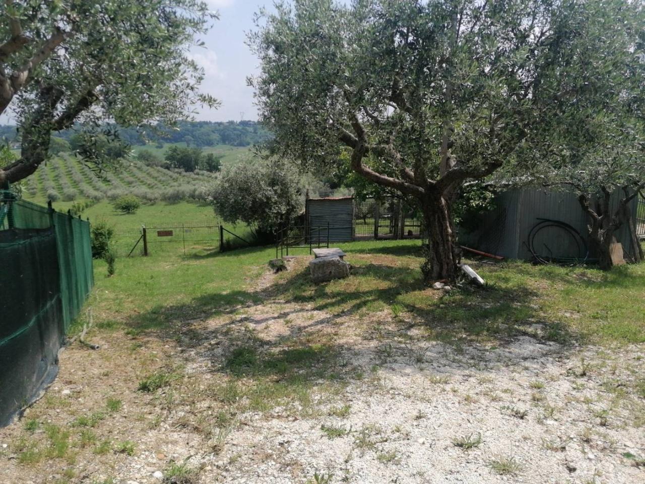immagine annuncio 3 di 15