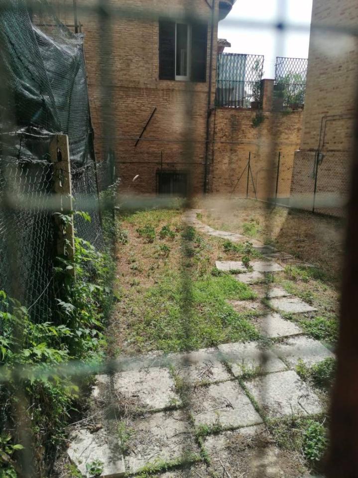 immagine annuncio 4 di 13