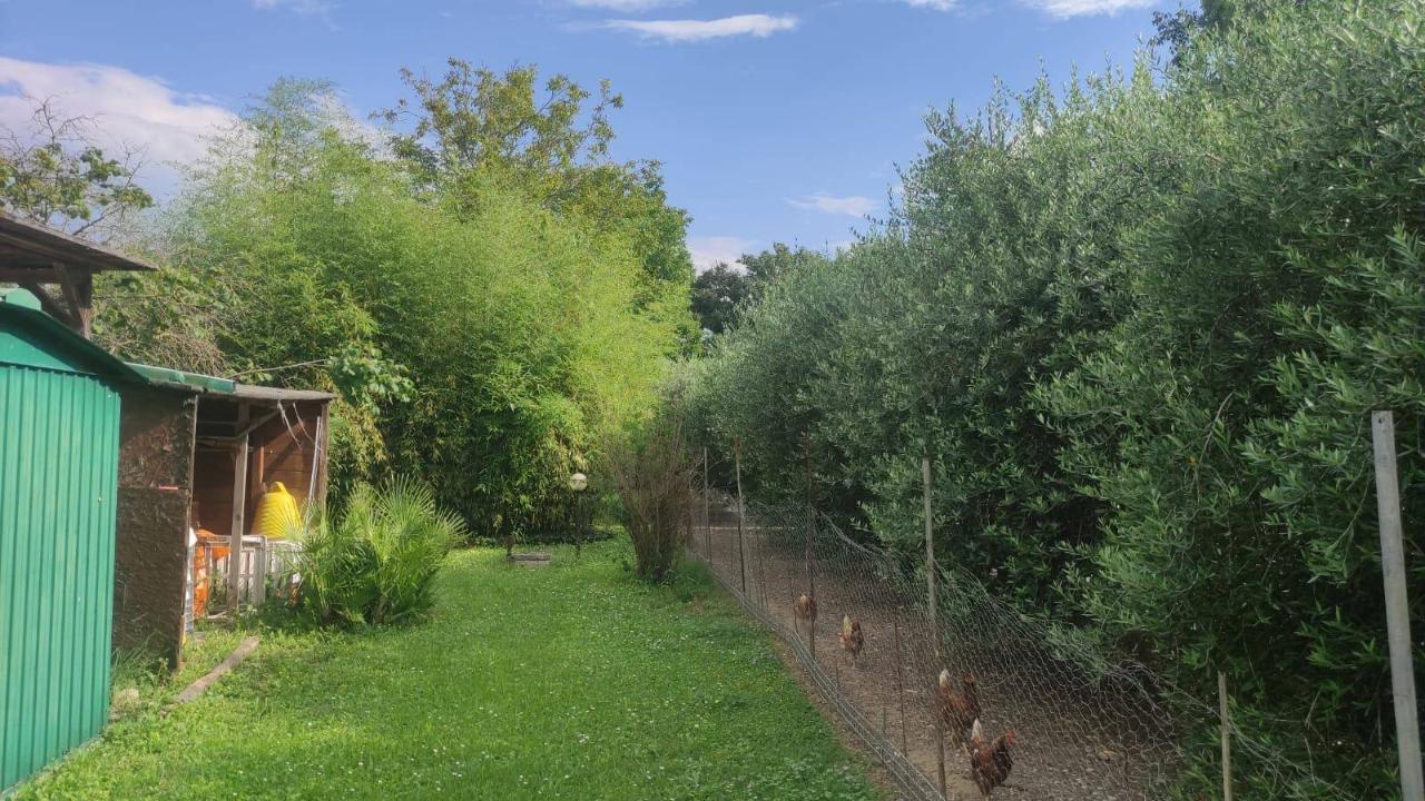 immagine annuncio 6 di 14