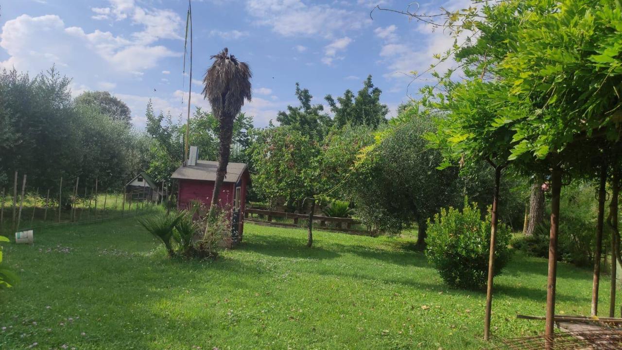 immagine annuncio 7 di 14