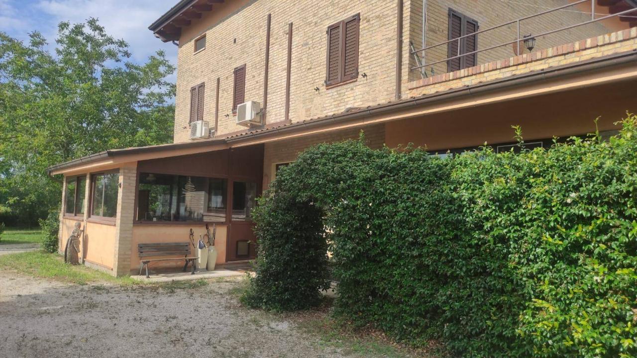 immagine annuncio 8 di 14