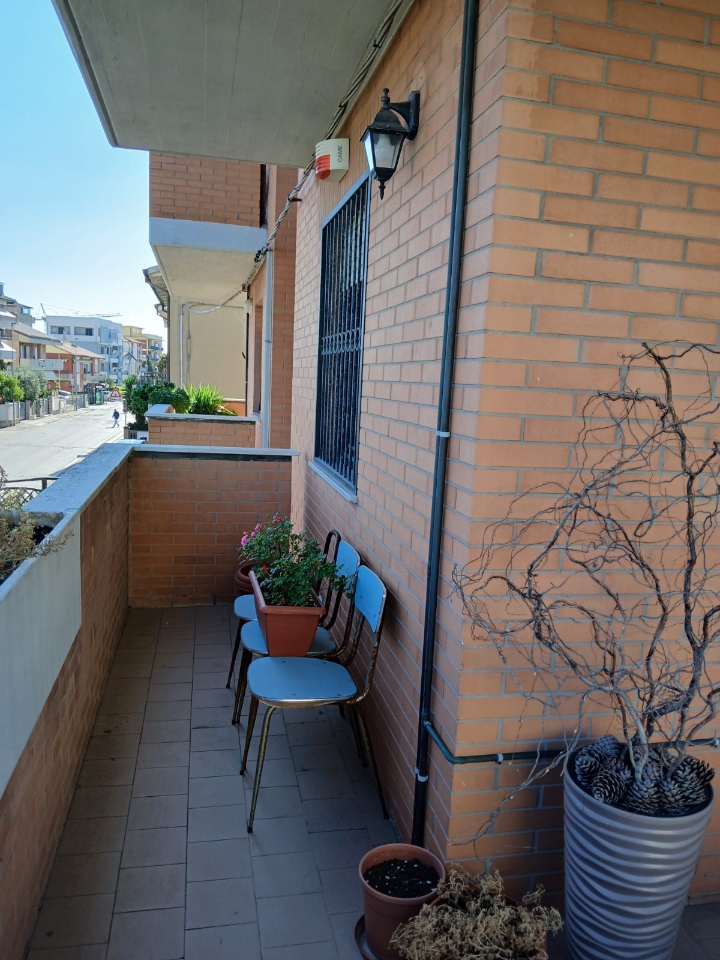 immagine annuncio 6 di 14