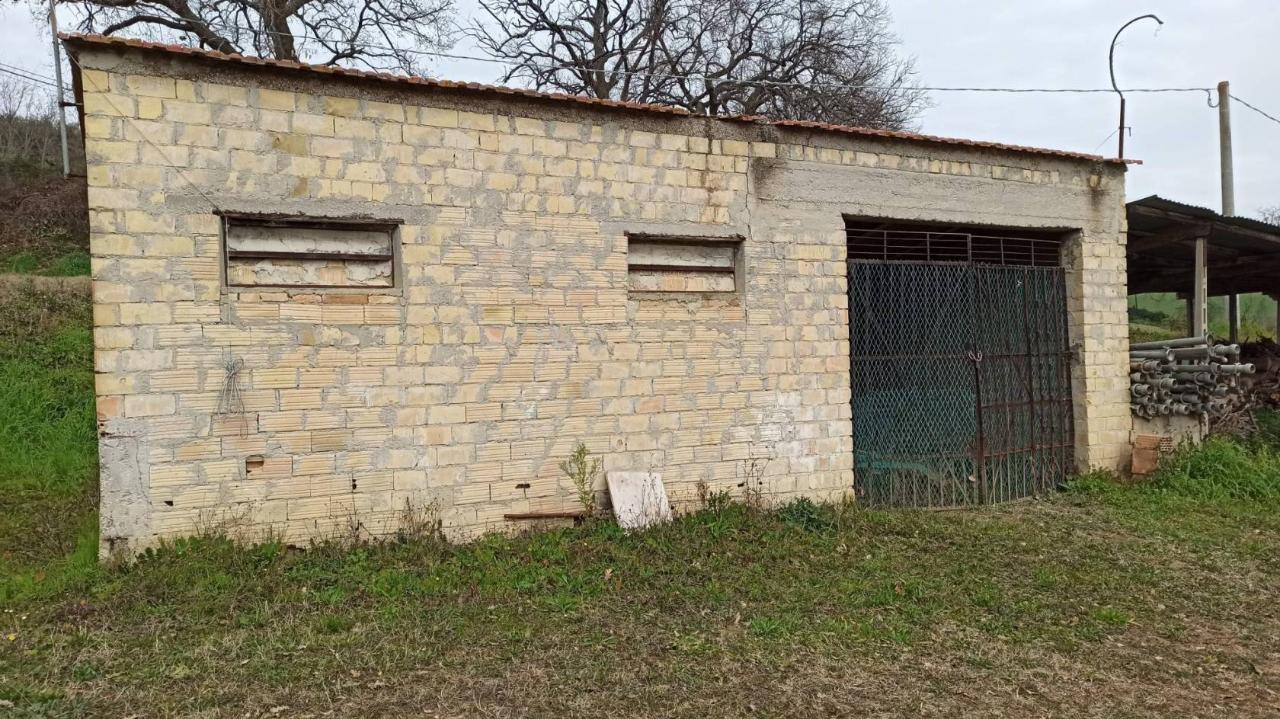 immagine annuncio 1 di 4