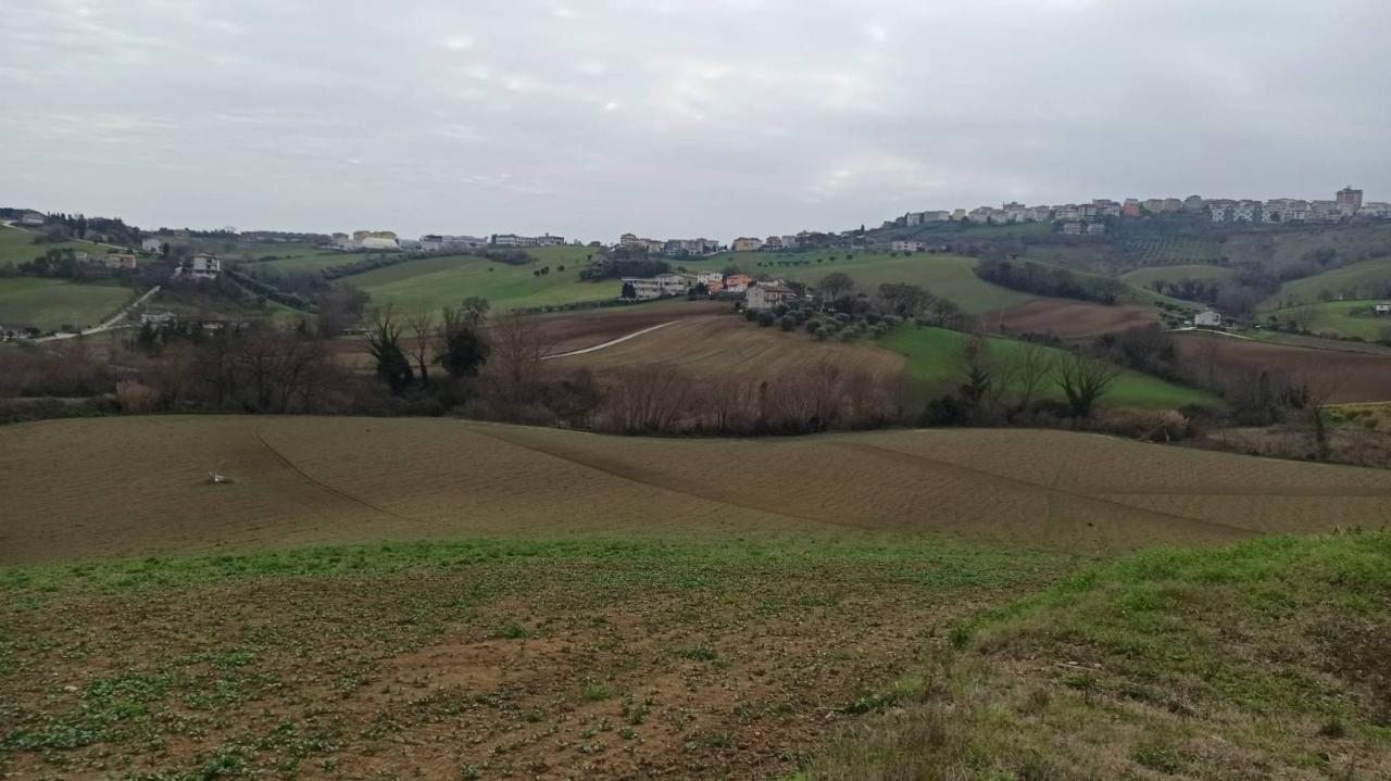 immagine annuncio 3 di 4