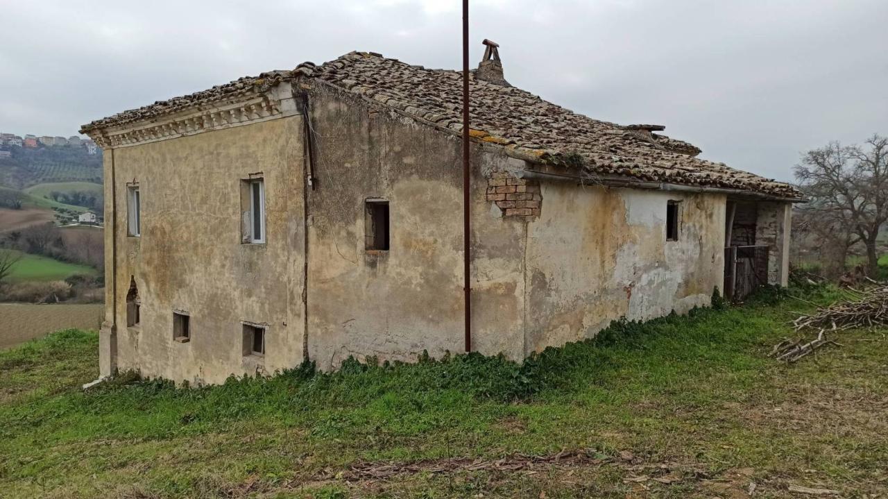 immagine annuncio 2 di 4
