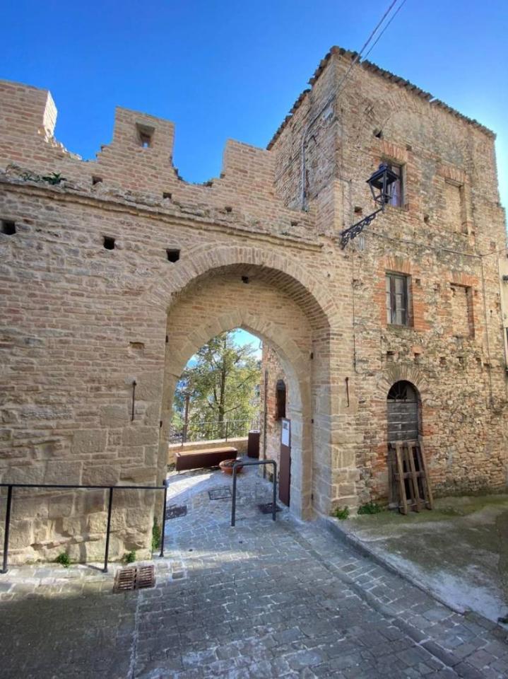 immagine annuncio 6 di 8