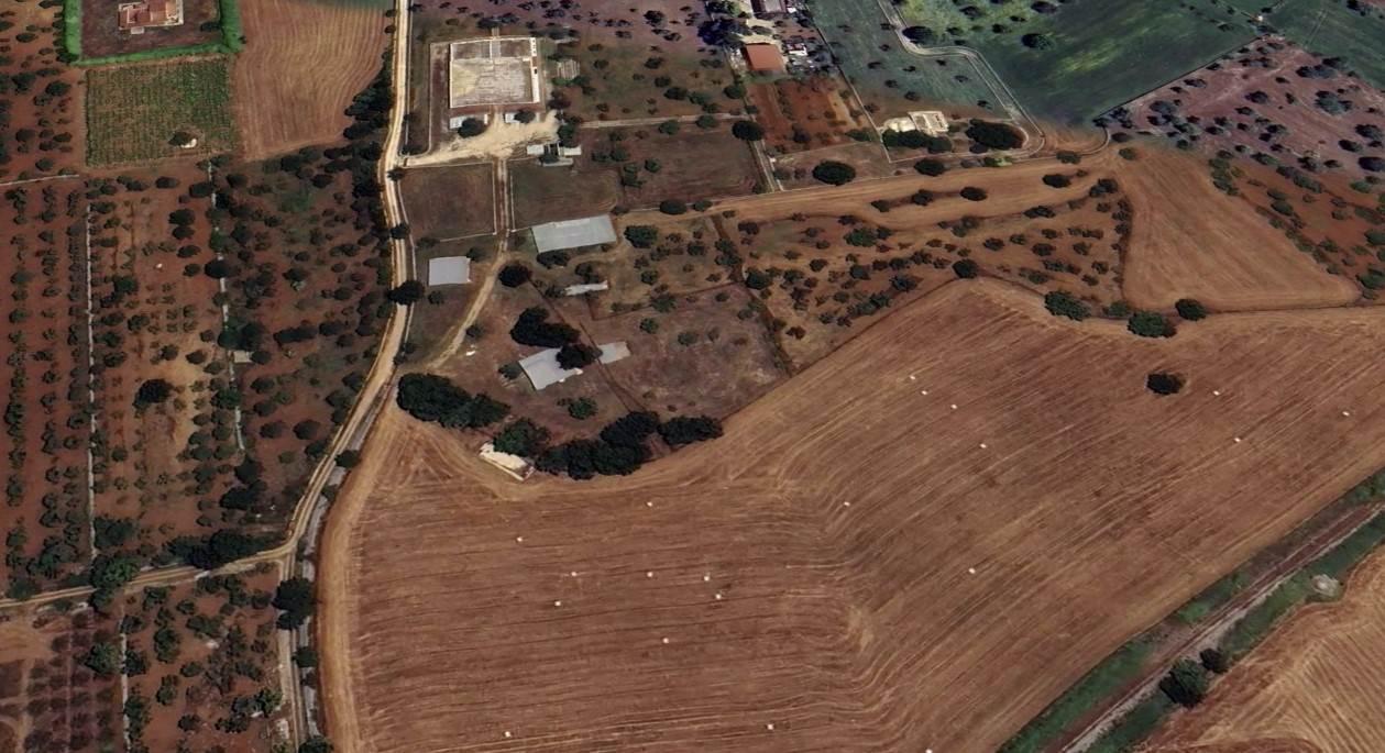 Azienda agricola in , Gioia Del Colle, {3} - Foto 2