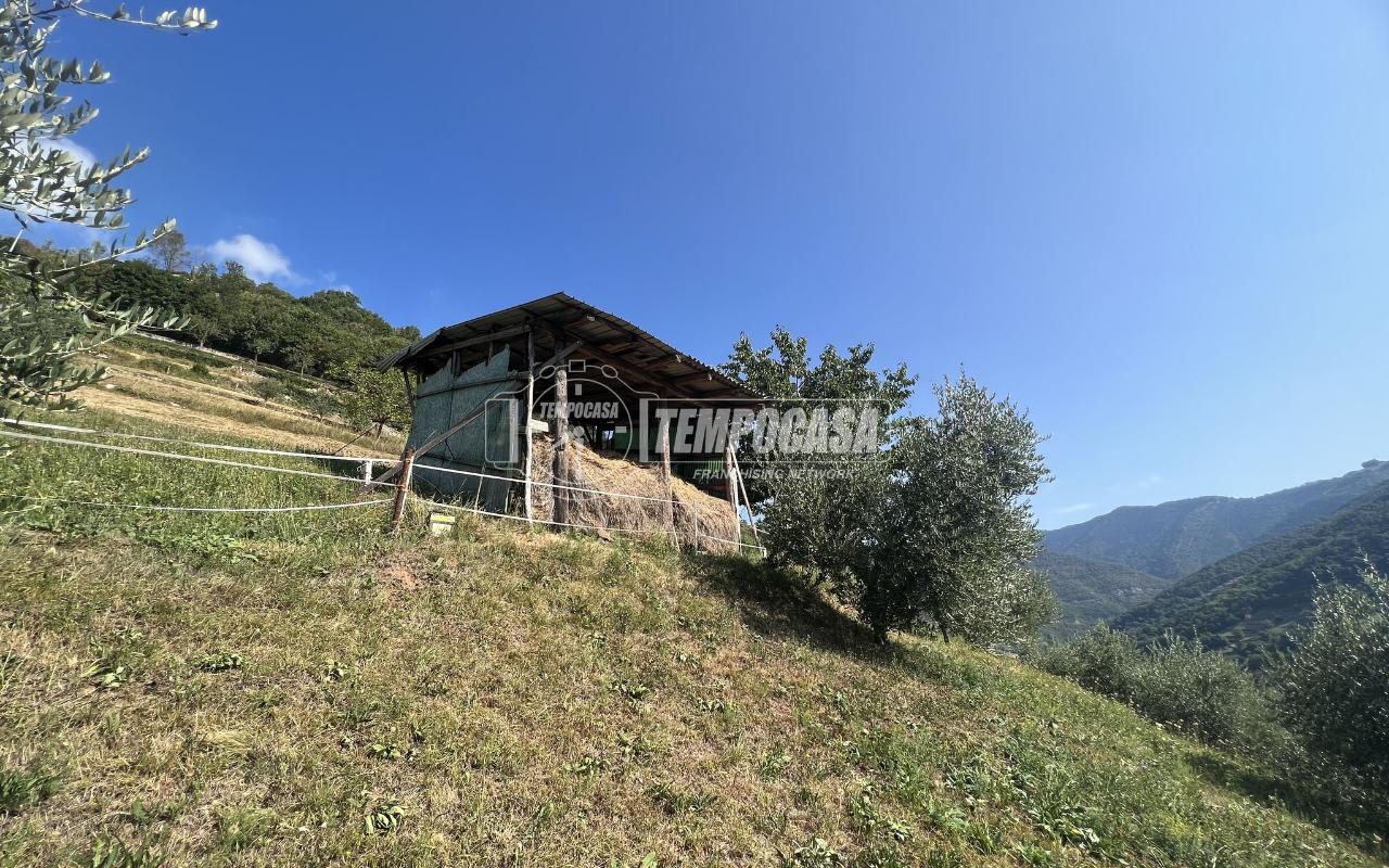 immagine annuncio 8 di 11