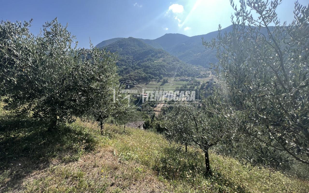 immagine annuncio 7 di 11