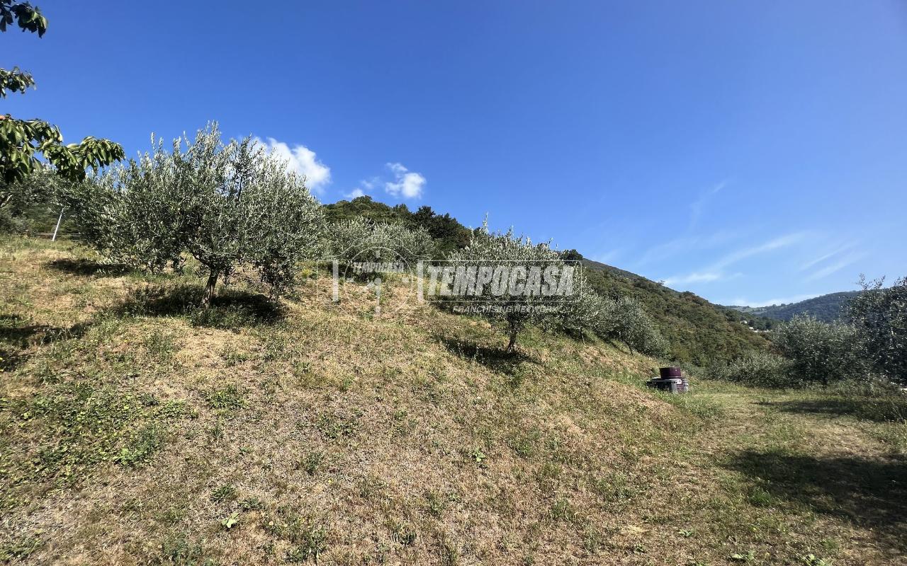 immagine annuncio 4 di 11