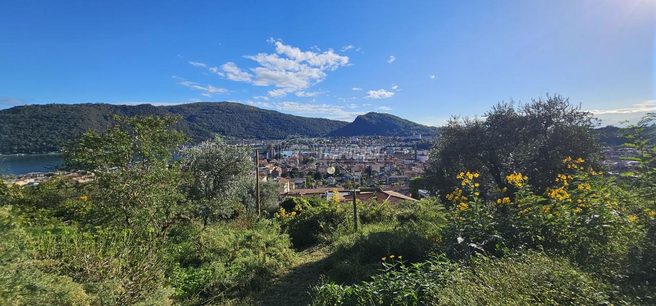 immagine annuncio 7 di 9