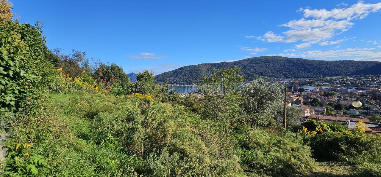 immagine annuncio 5 di 9