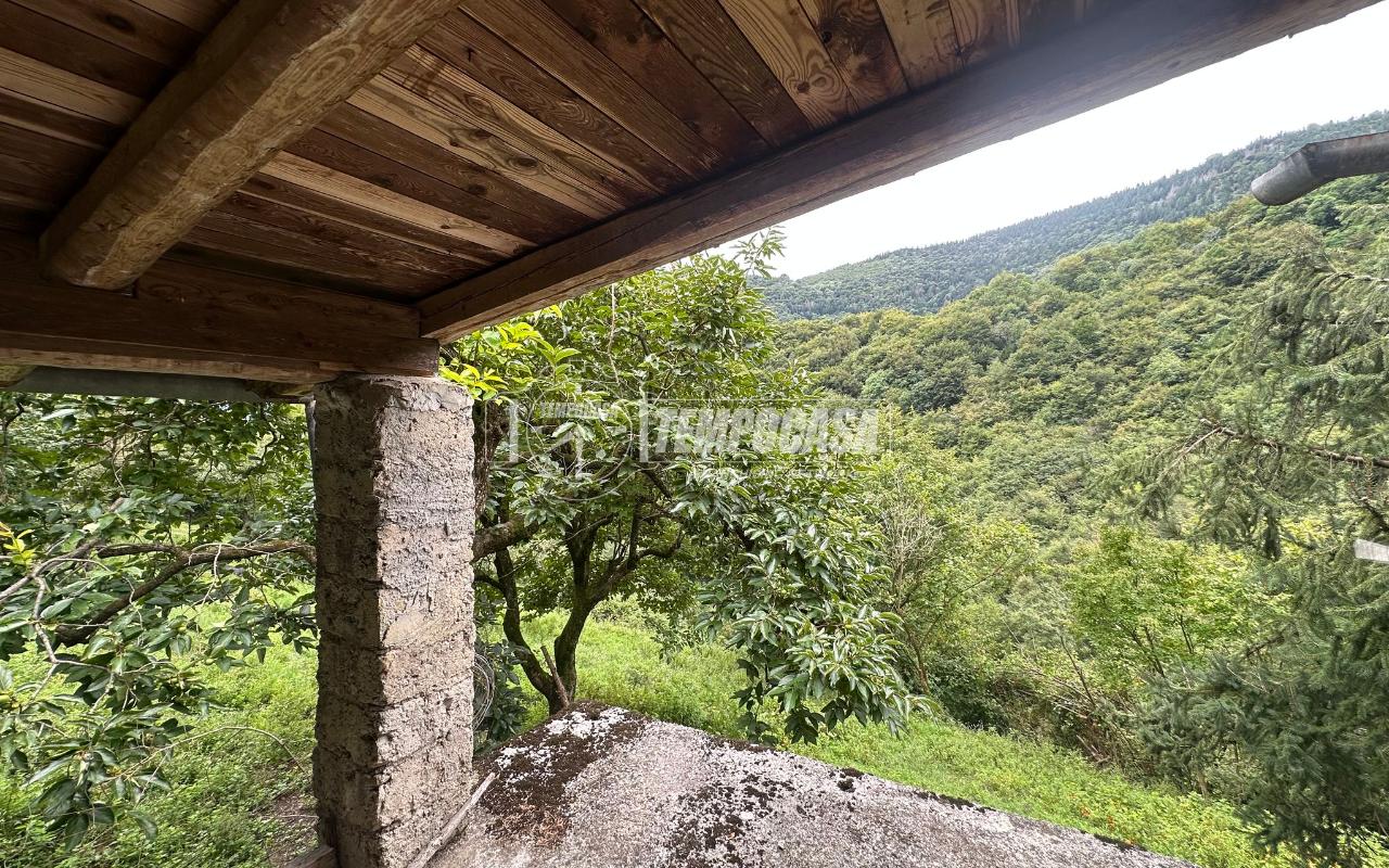 immagine annuncio 6 di 13