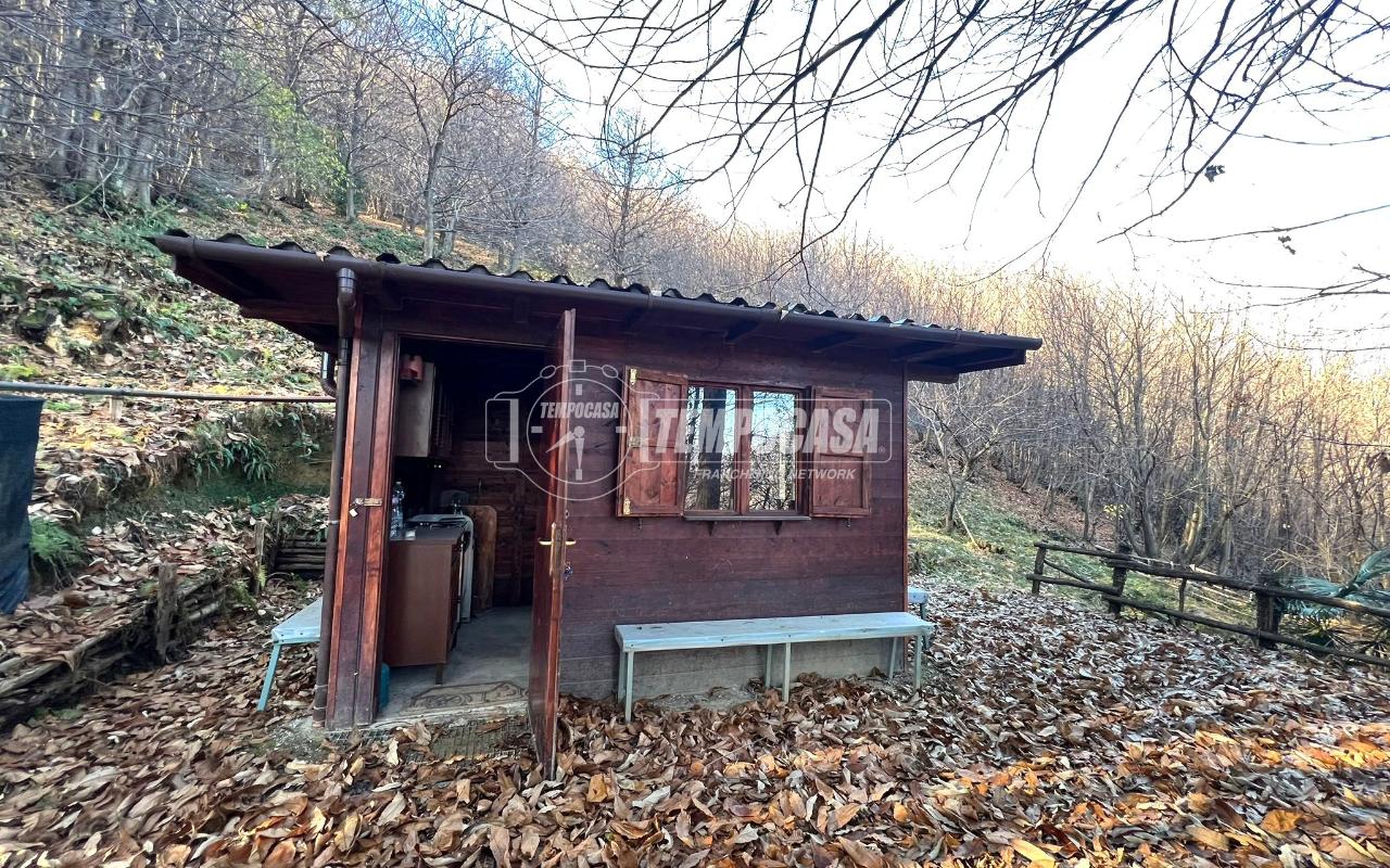 immagine annuncio 2 di 8