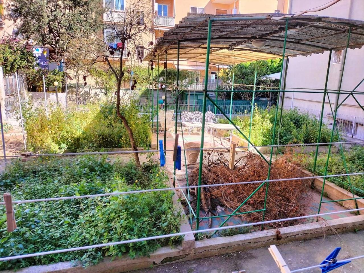 immagine annuncio 7 di 11