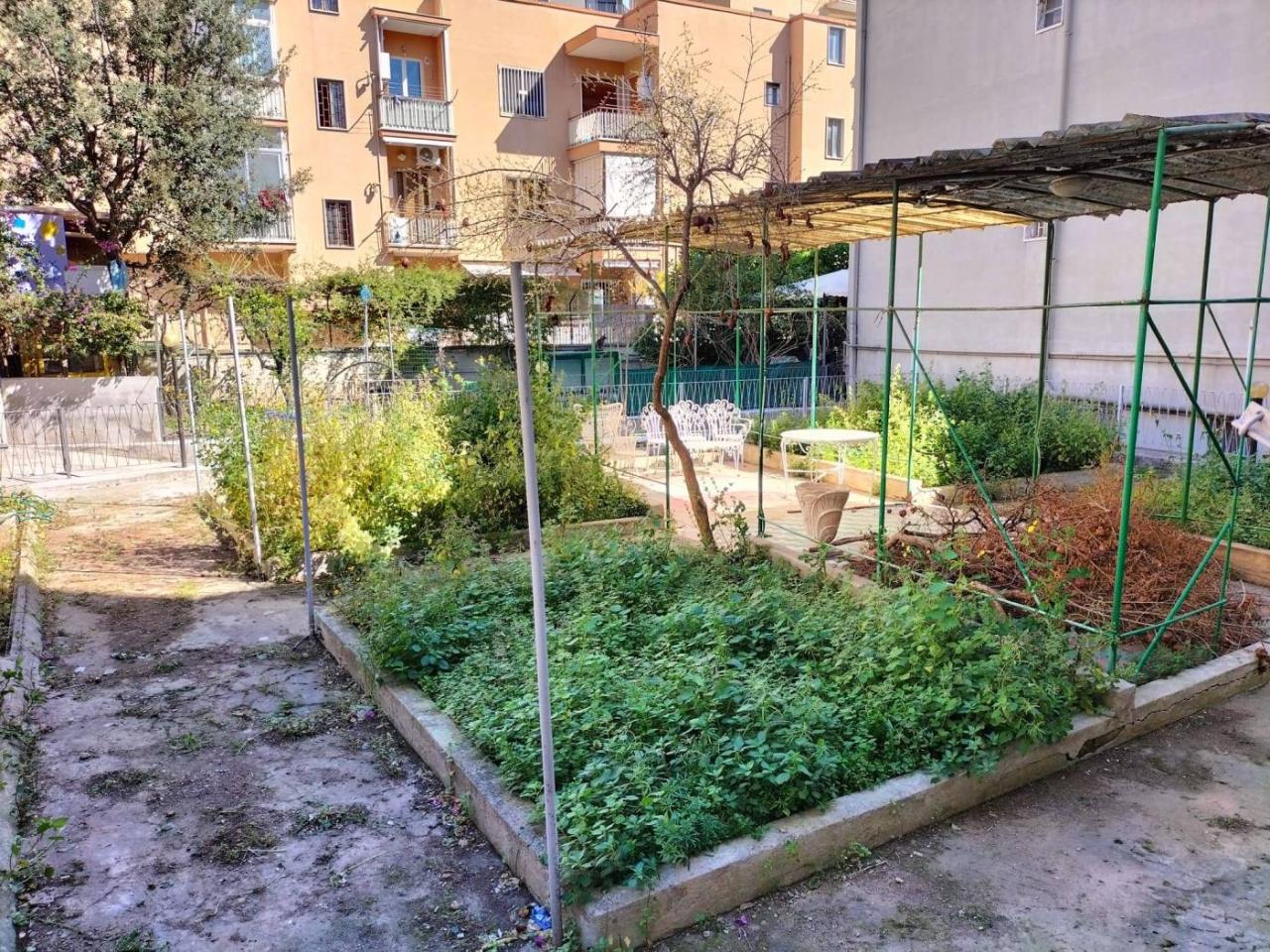 immagine annuncio 8 di 11