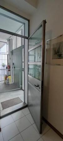 immagine annuncio 8 di 14