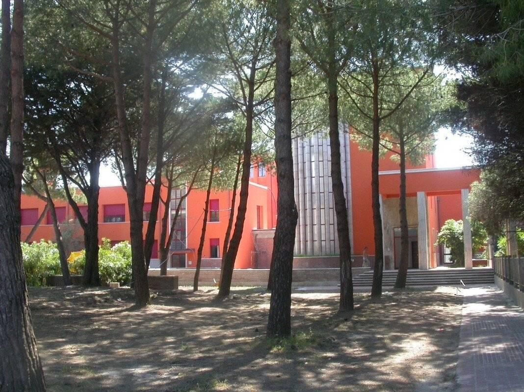 immagine annuncio 9 di 10