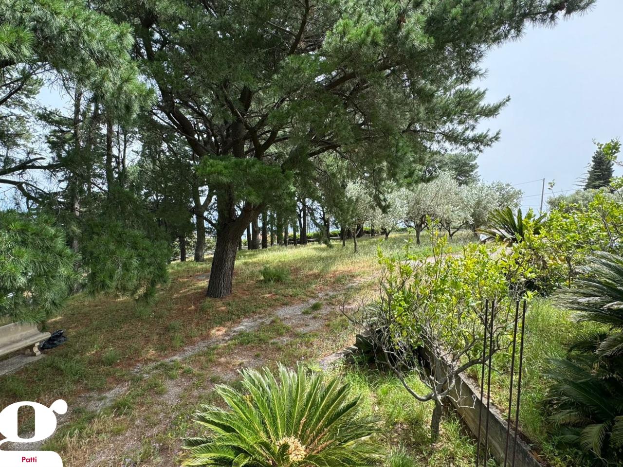 immagine annuncio 11 di 14