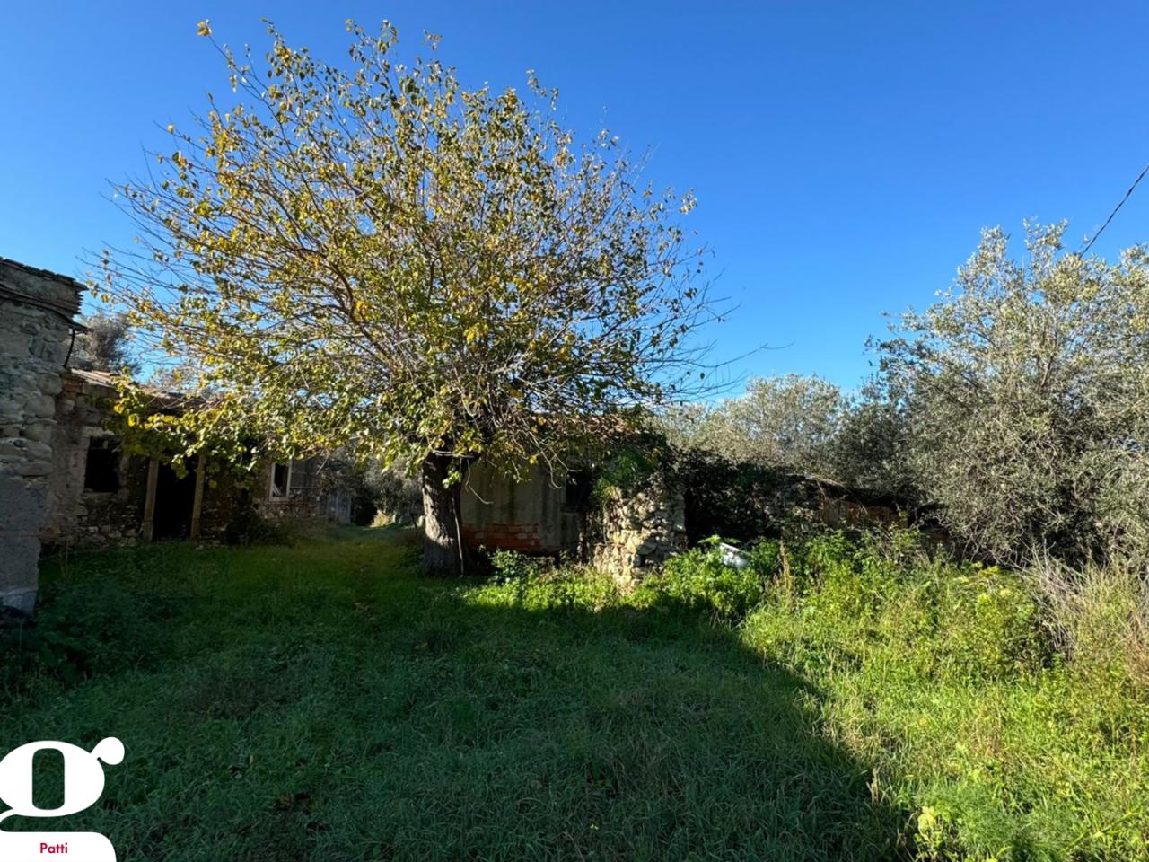 immagine annuncio 3 di 14