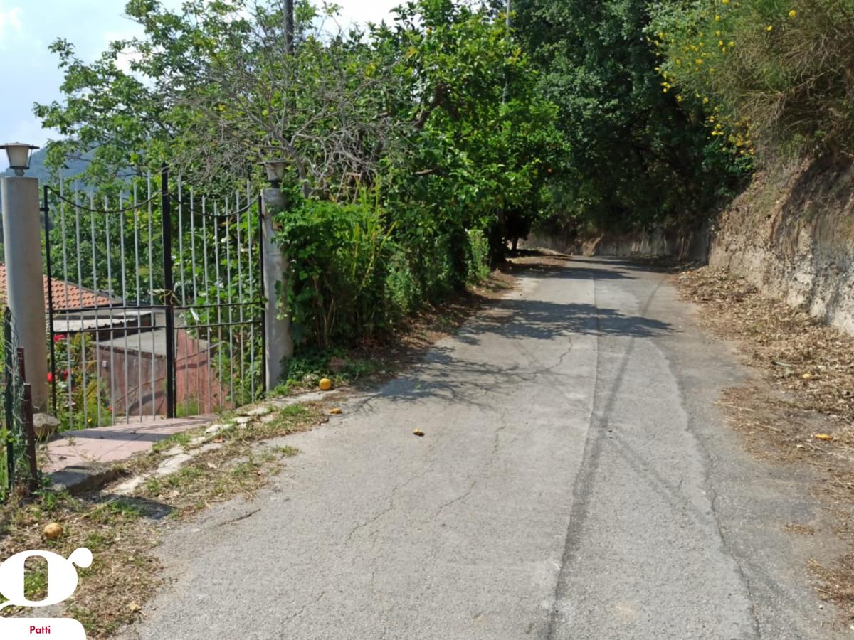immagine annuncio 6 di 14