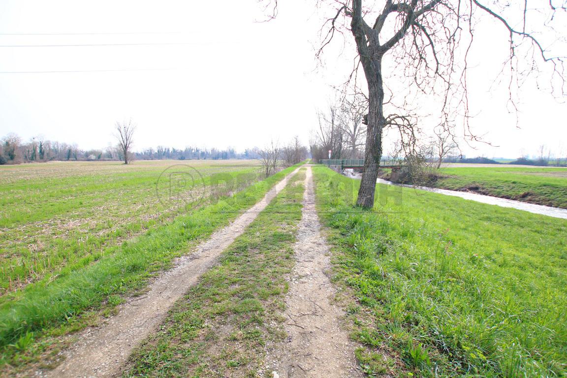 immagine annuncio 6 di 14