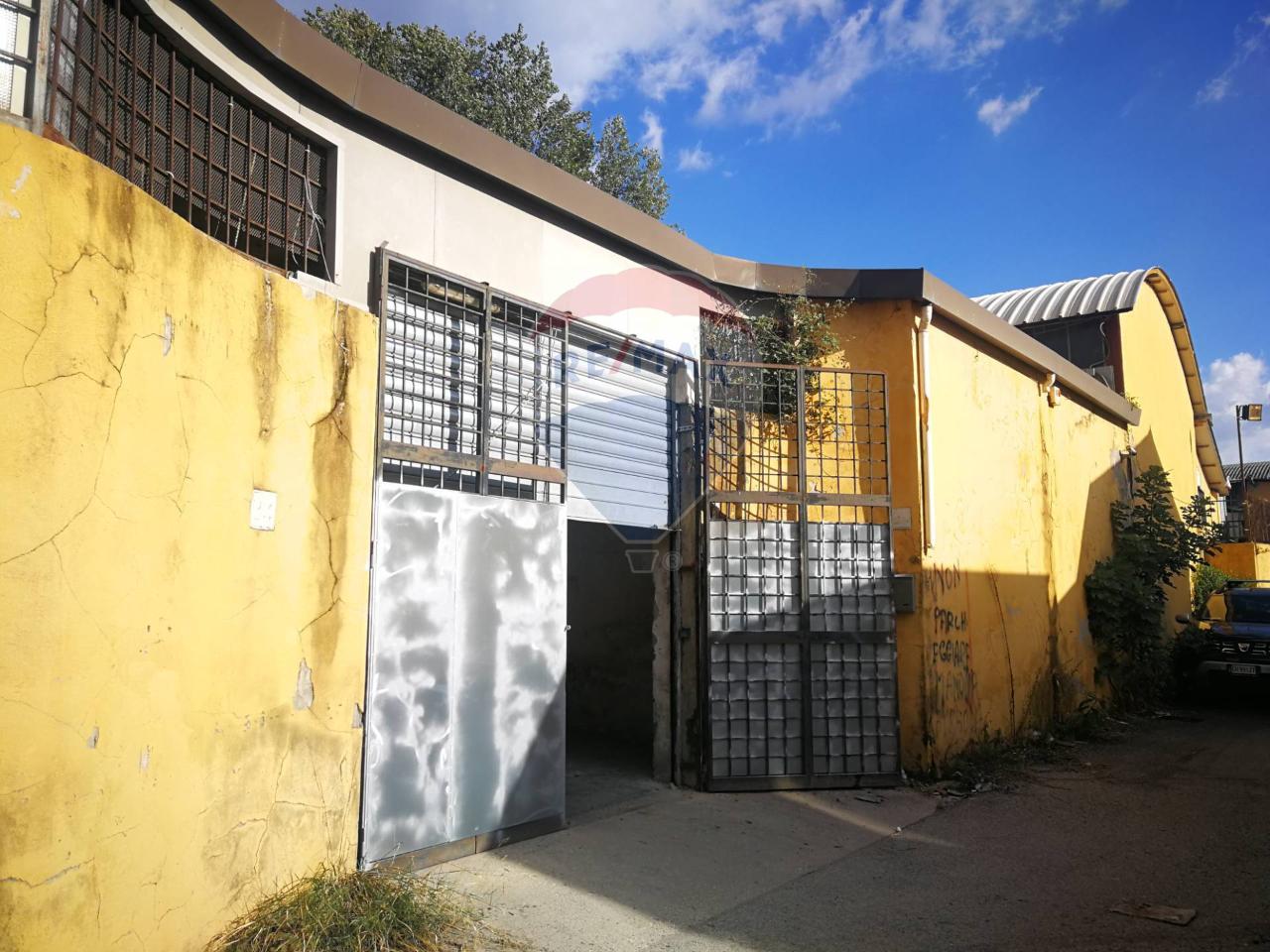 Capannone in Via dei Laghi Sportivi 20, Roma, {3} - Foto 2