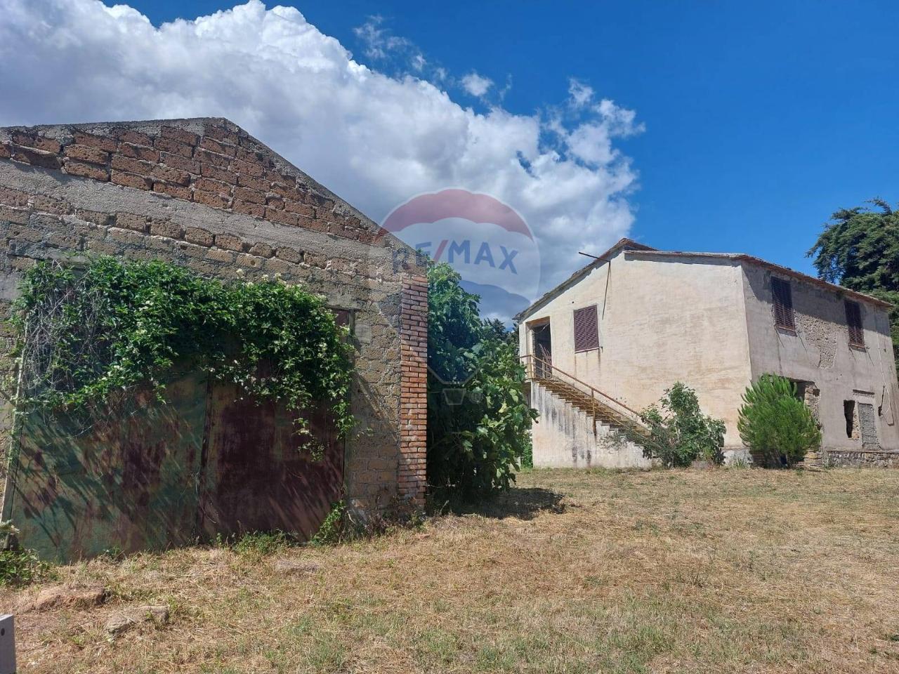 Terreno agricolo in vendita a Tuscania