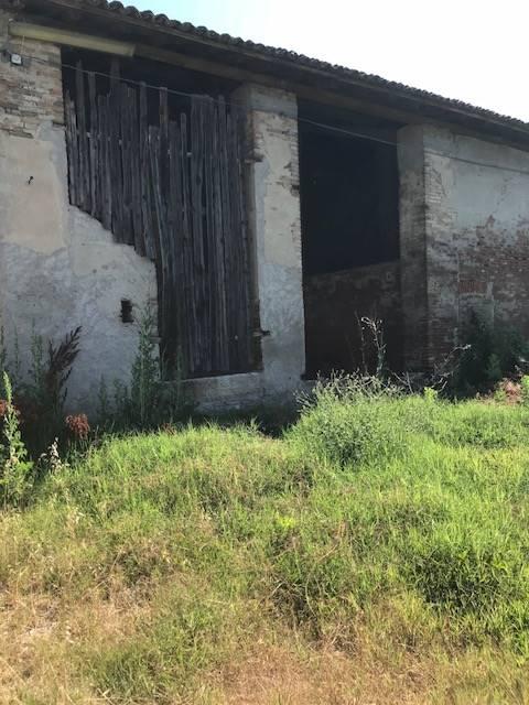 Azienda agricola in , Motteggiana, {3} - Foto 1