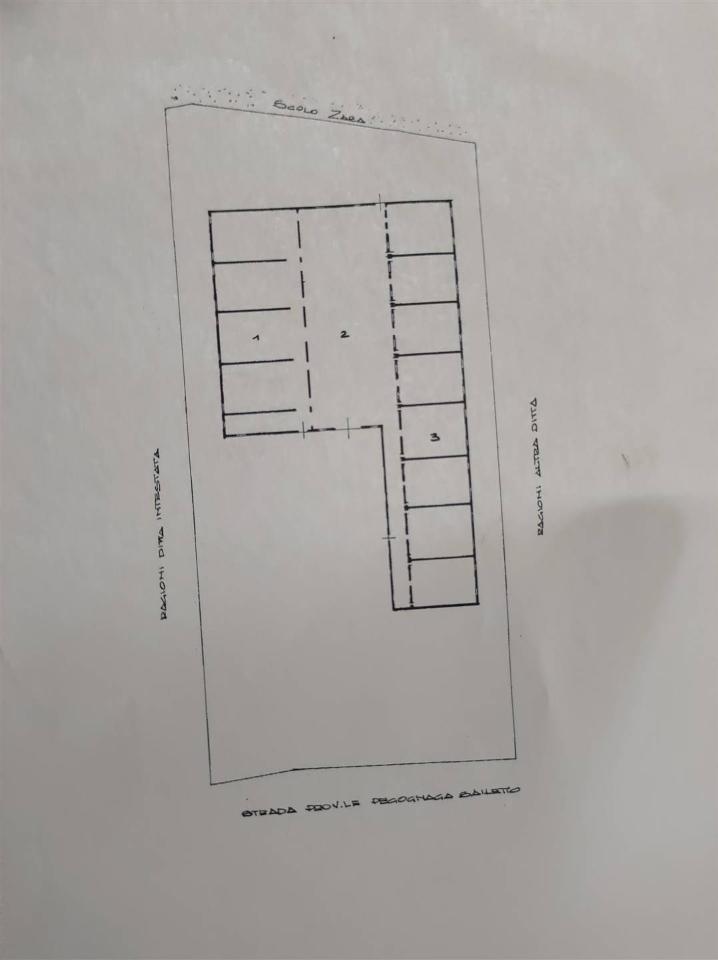 Azienda agricola in , Motteggiana, {3} - Foto 2