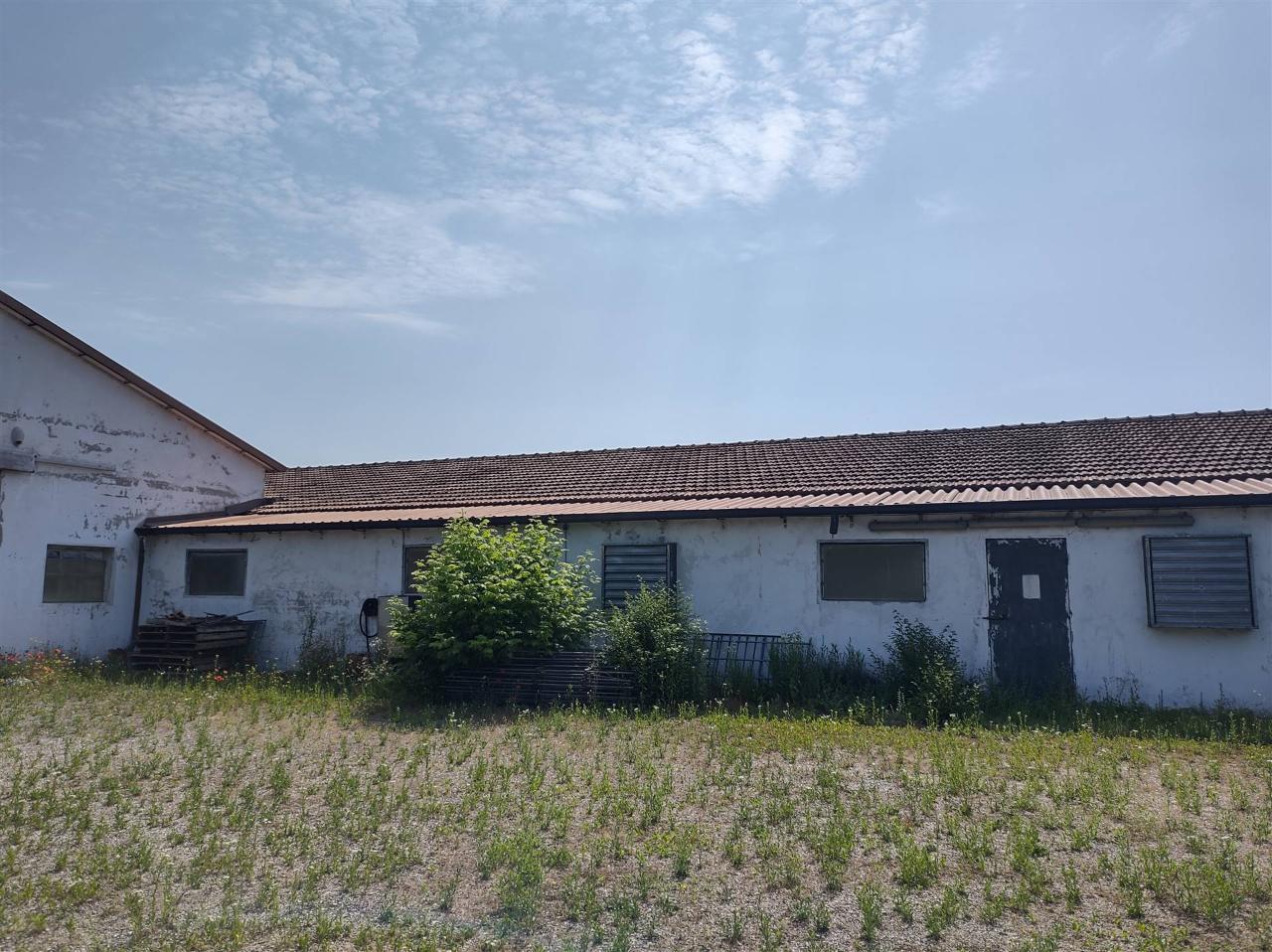 Azienda agricola in , Motteggiana, {3} - Foto 1