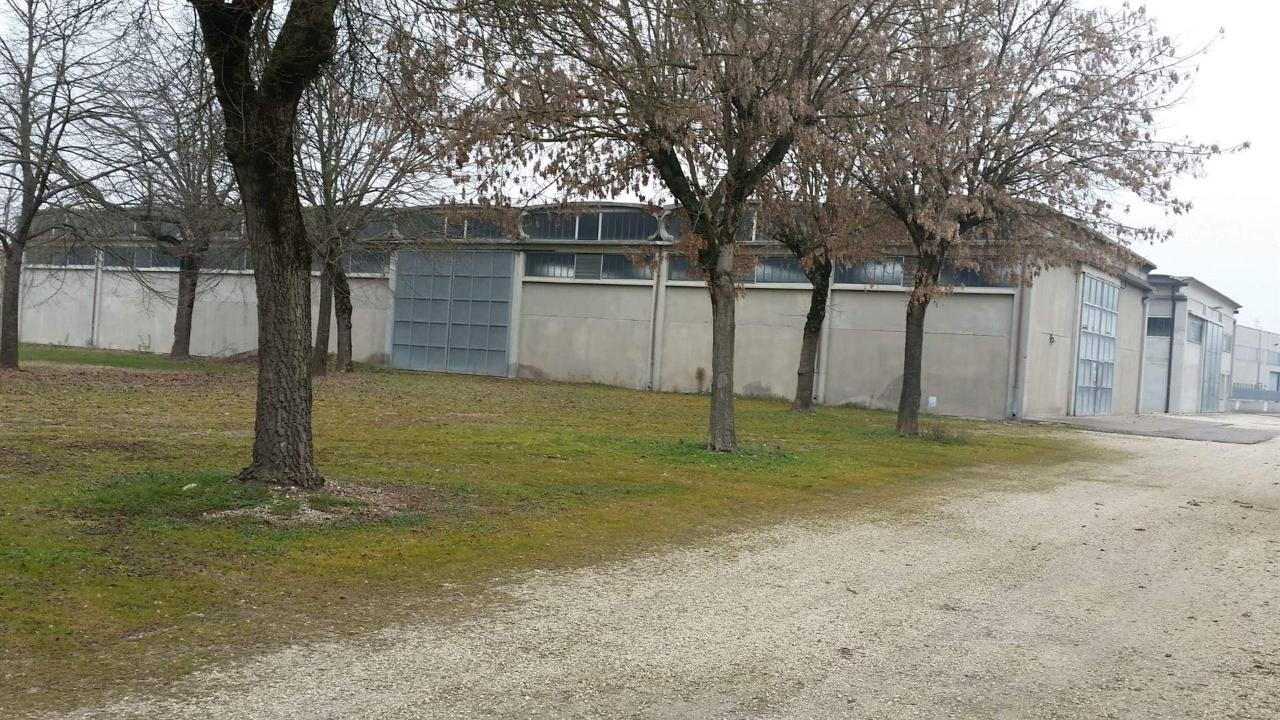 Capannone in , Roncoferraro, {3} - Foto 1