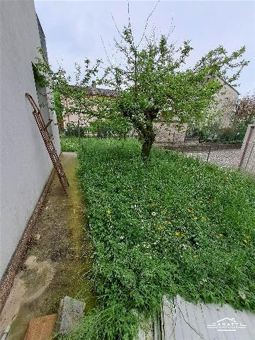 insertion image
