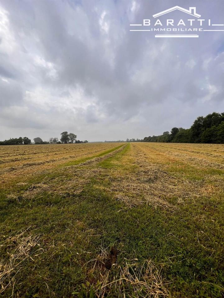 Azienda agricola in , Guastalla, {3} - Foto 1
