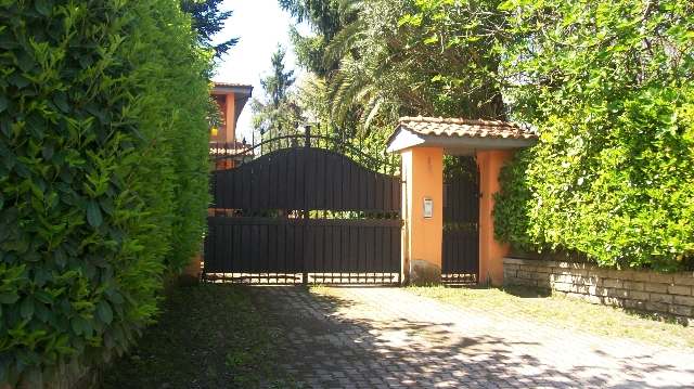 insertion image