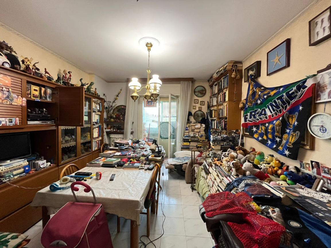 immagine annuncio 6 di 14