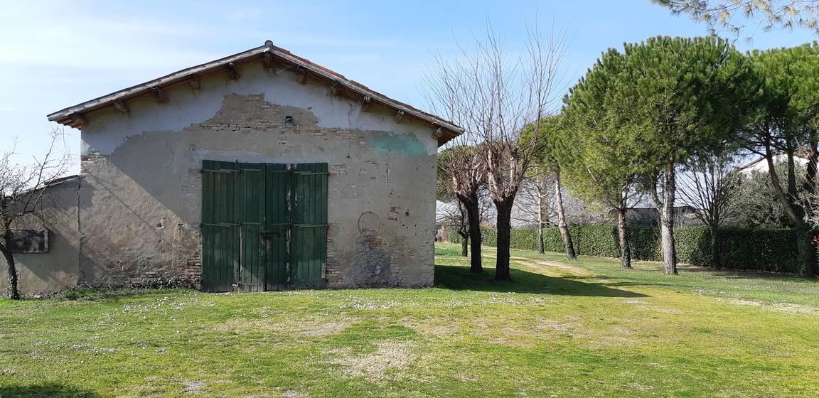 immagine annuncio 6 di 14