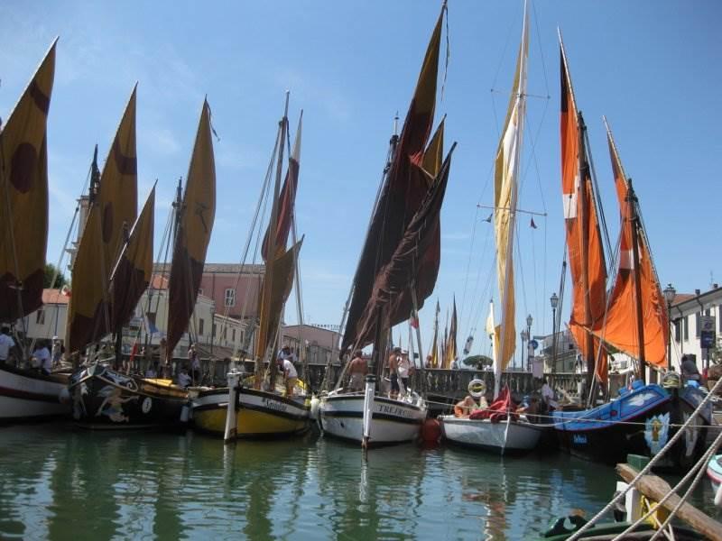 immagine annuncio 5 di 11