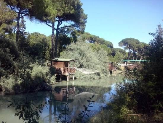 immagine annuncio 9 di 11