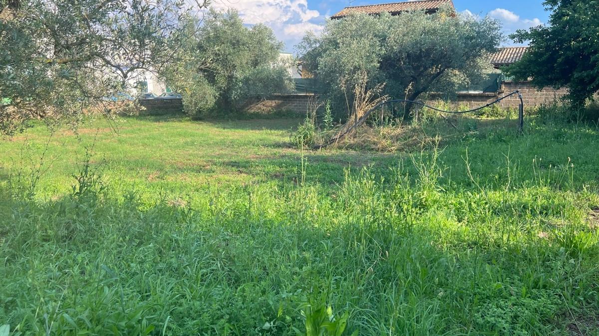 Terreno edificabile in vendita a Civita Castellana