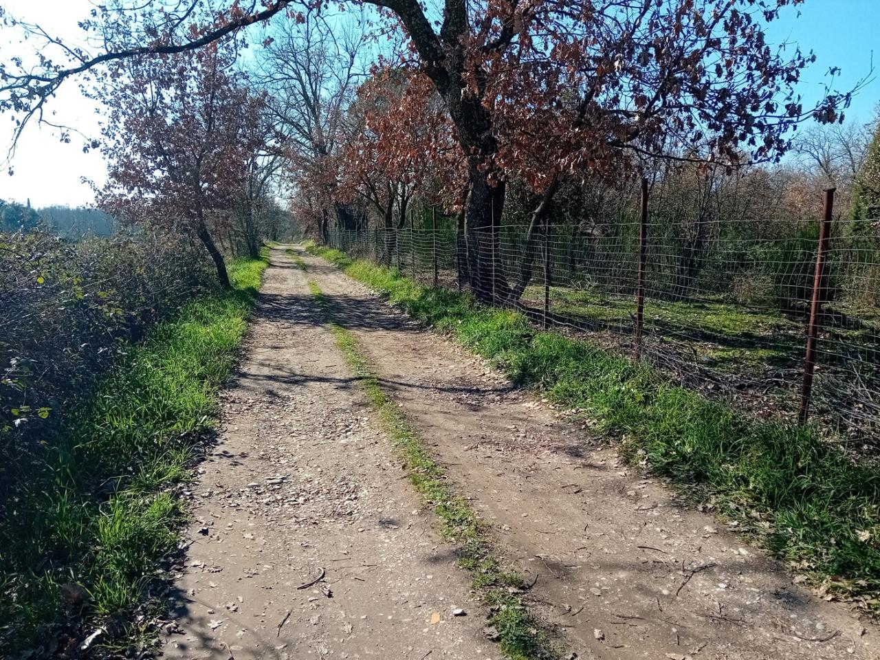 immagine annuncio 8 di 11