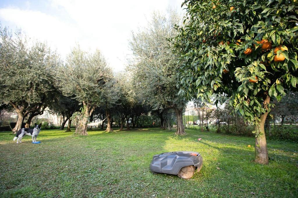 immagine annuncio 11 di 15